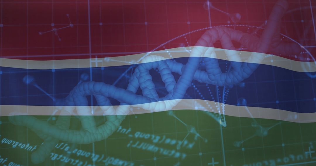 DNA Strands on Gambia Flag with Molecular Models
