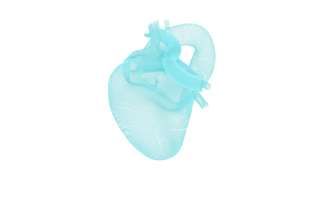 Transparent Heart Scan Digital Illustration with Scanning Scopes