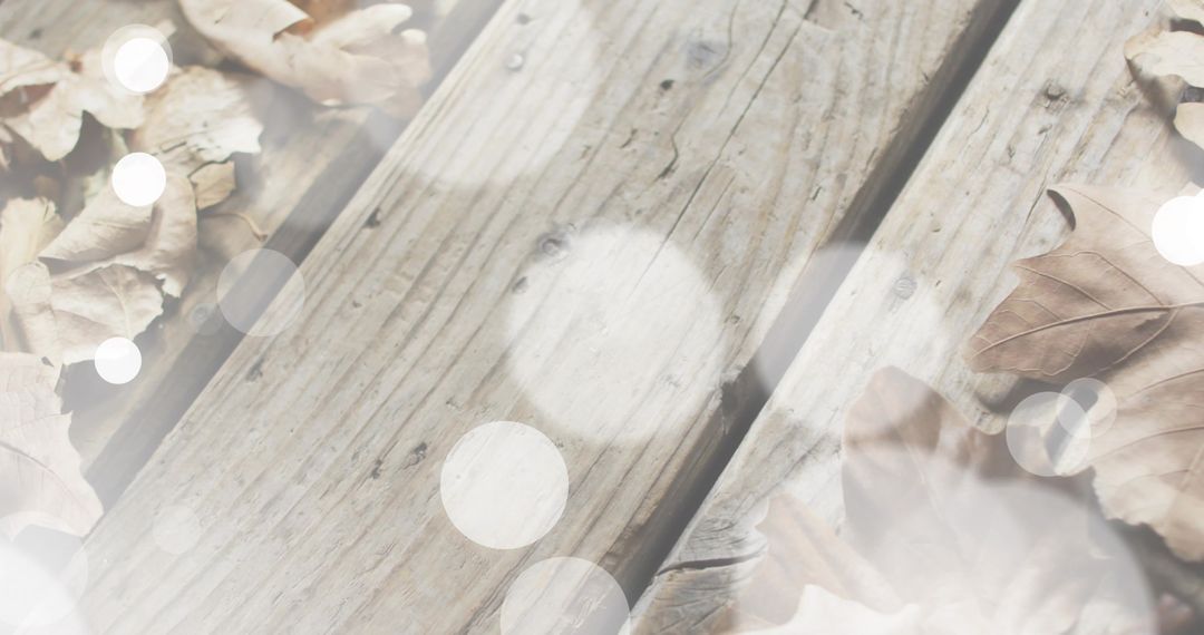 Weathered Wooden Deck Planks with Autumn Leaves and Soft Bokeh Light Overlay