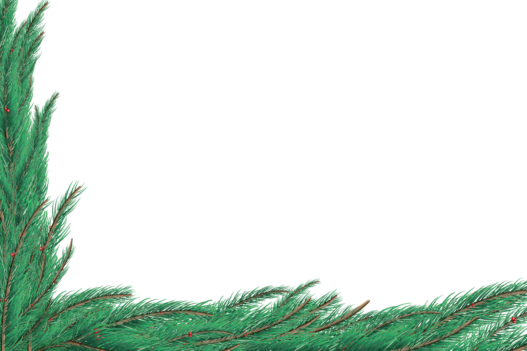 Transparent Christmas Pine Tree Branch Frame