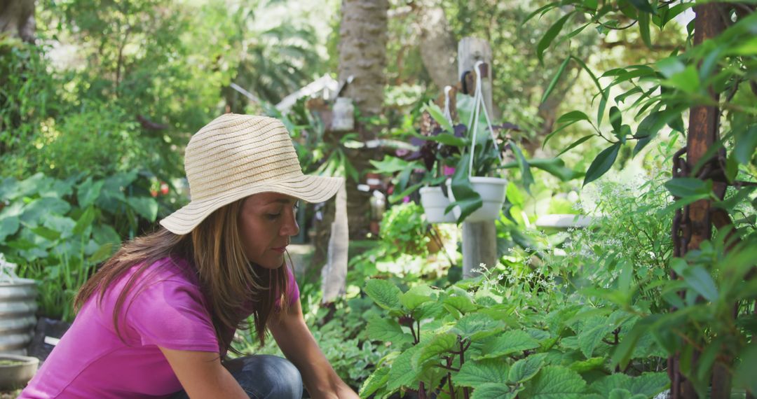 Woman Gardening in Lush Backyard Wearing Straw Hat - Free Images, Stock Photos and Pictures on Pikwizard.com