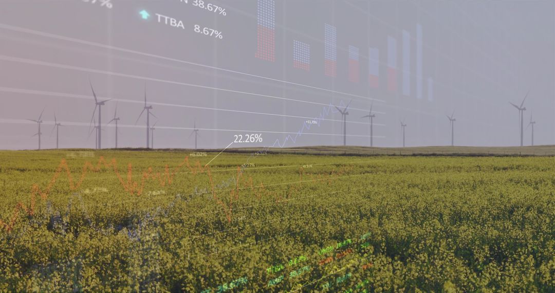 Wind Energy and Data Visualization Over Yellow Flowering Field