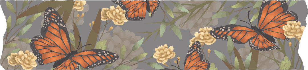 Monarch Butterflies on Transparent Background With Vibrant Cream Blooms