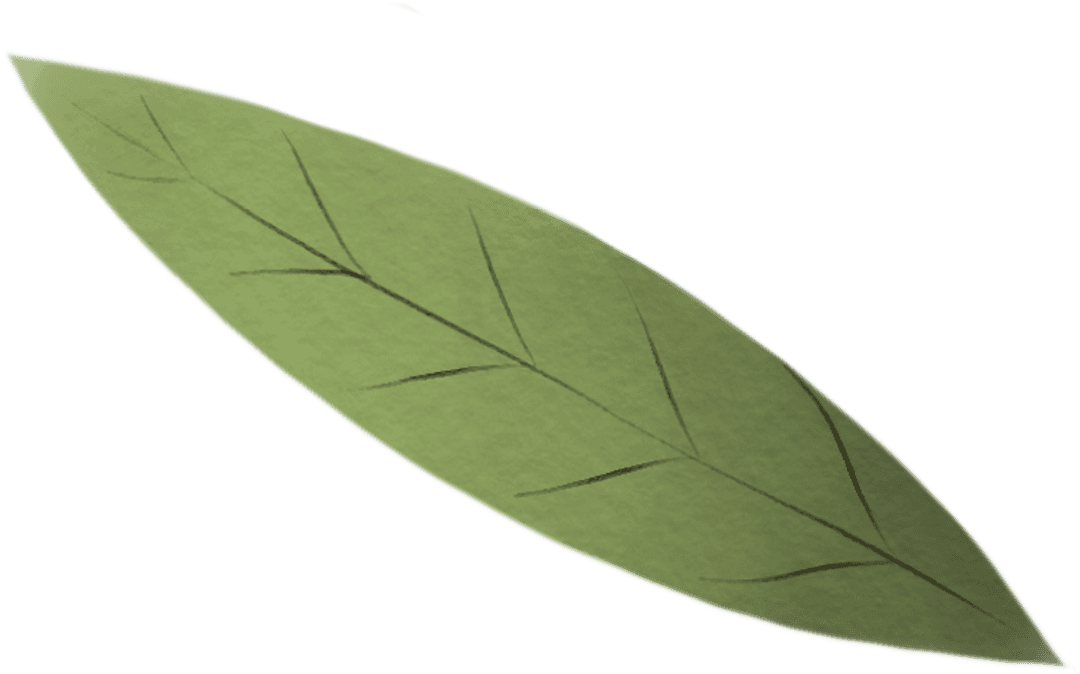 Transparent Green Leaf Illustration on Isolated Background