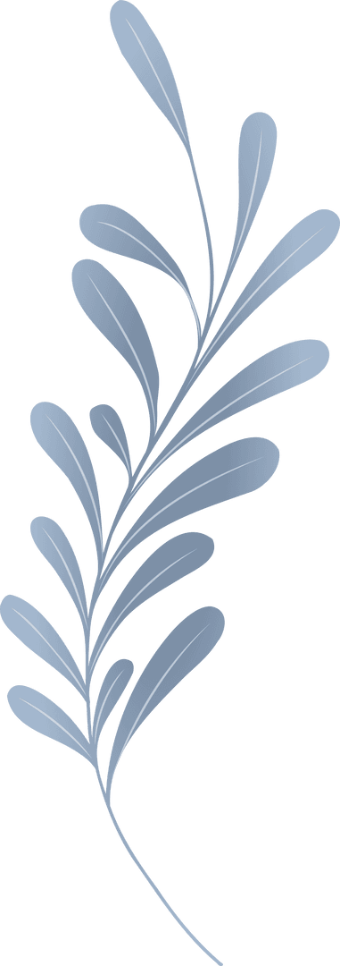 Stylized Botanical Branch with Cool Blue Leaves on Transparent Background