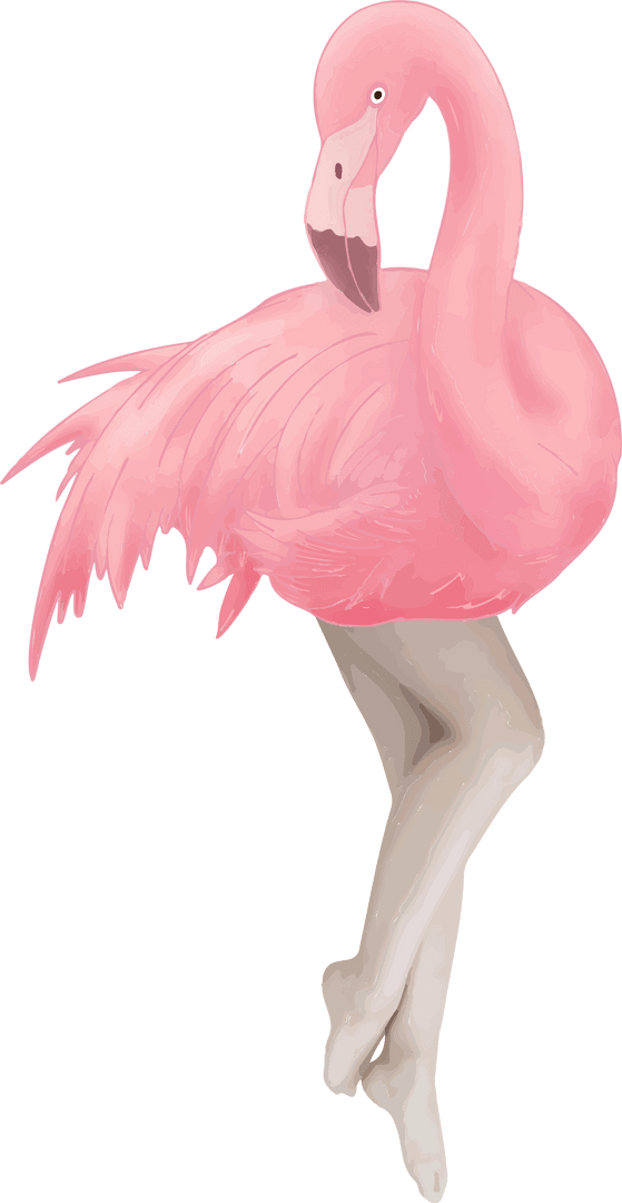 Elegant Flamingo with Human Legs on Transparent Background