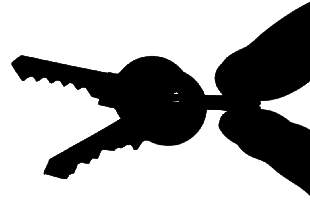 Transparent Silhouette Fingers Holding Keys Equally Symbolic Elegant