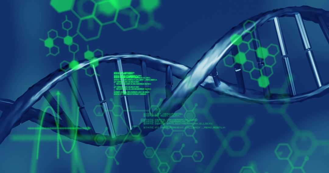 DNA Structure with Virtual Medical Data Processing