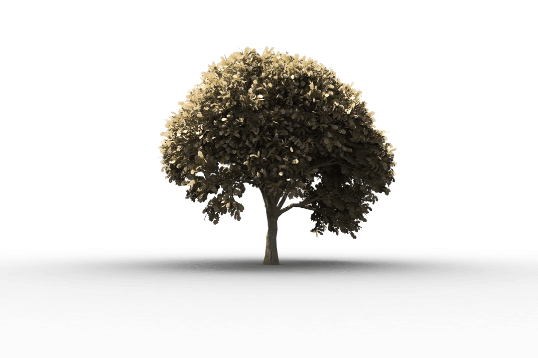 Transparent Green Leaf Tree on Clear Background