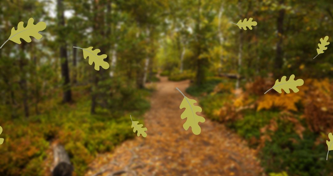 Peaceful Forest Path with Falling Autumn Leaves