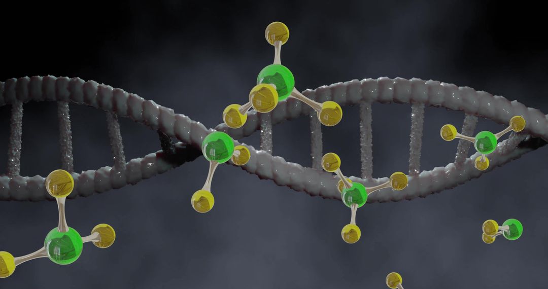 DNA Strand with Model Molecules Floating in Abstract Space