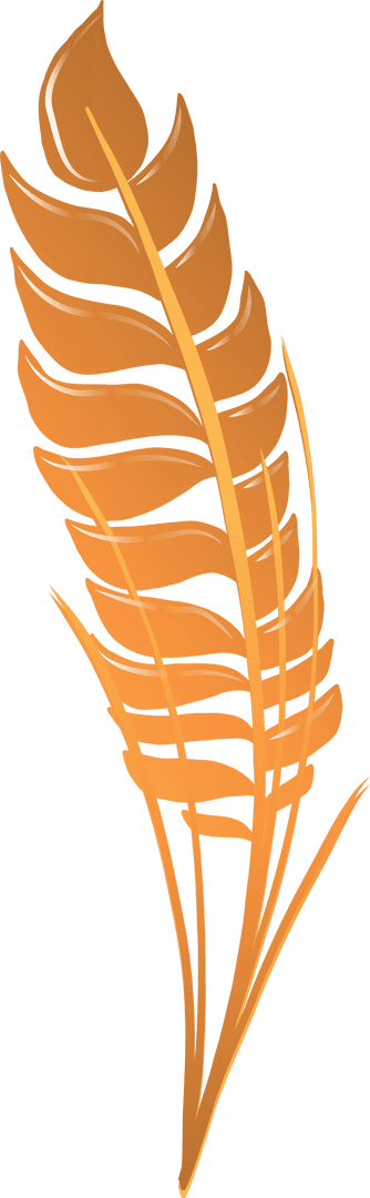 Illustrated Orange Feather Leaf on Transparent Background