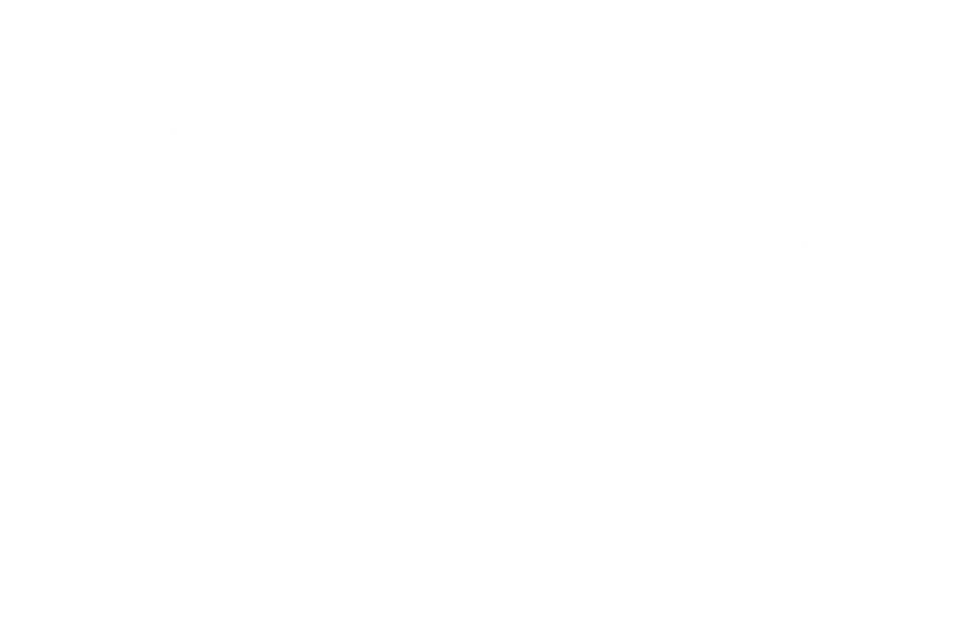 Transparent Silhouettes of Sportsmen Lifting Barbells Isolated - Download Free Stock Images Pikwizard.com