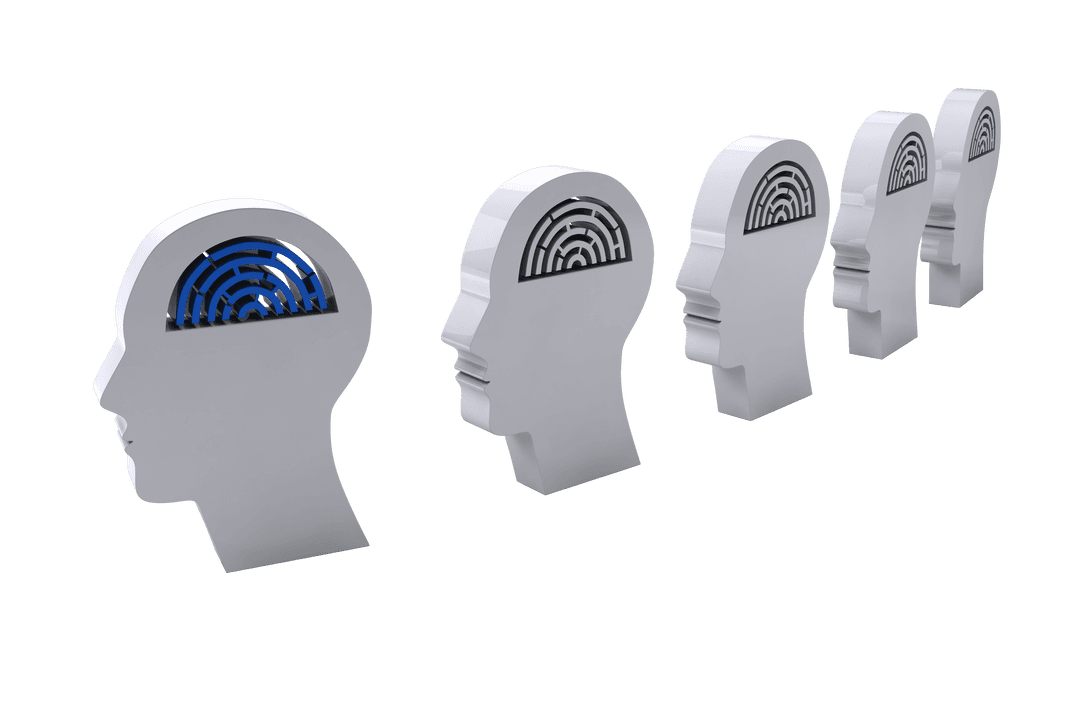 Heads with Labyrinth Imprints Representing Knowledge on Transparent Background