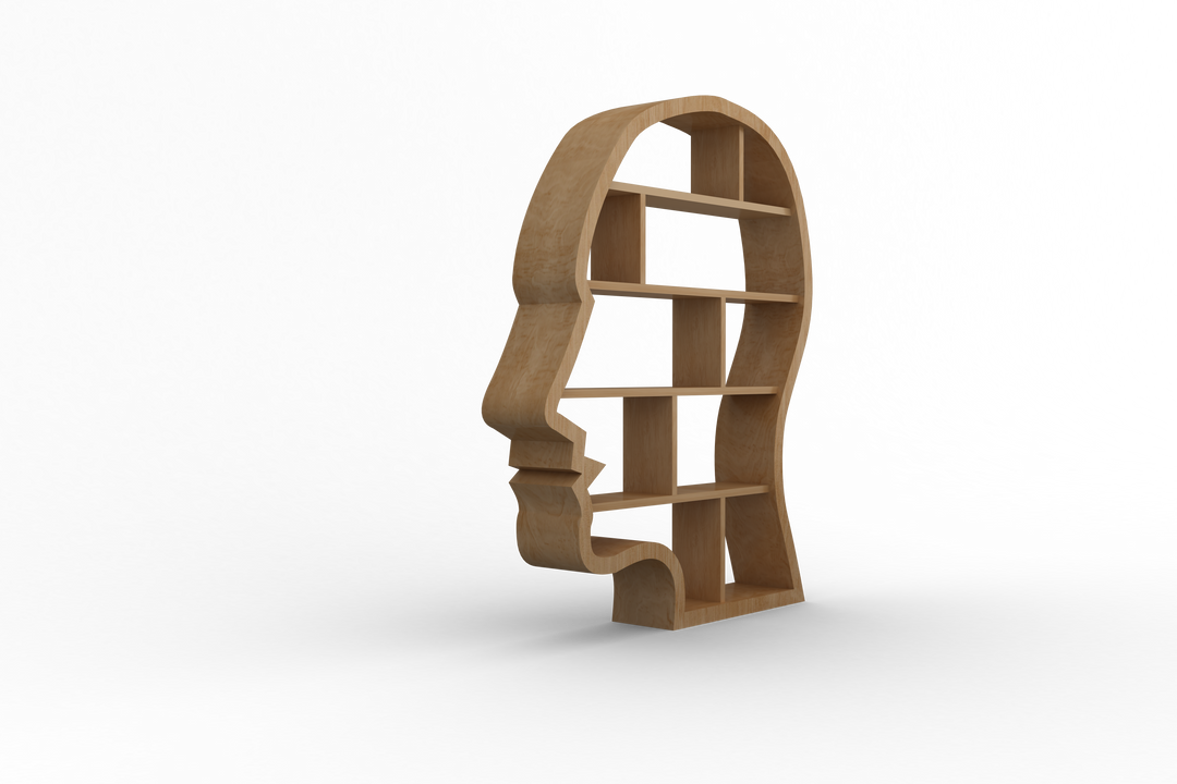 Creative Wooden Head Shape Bookshelf on Transparent Background - Download Free Stock Images Pikwizard.com