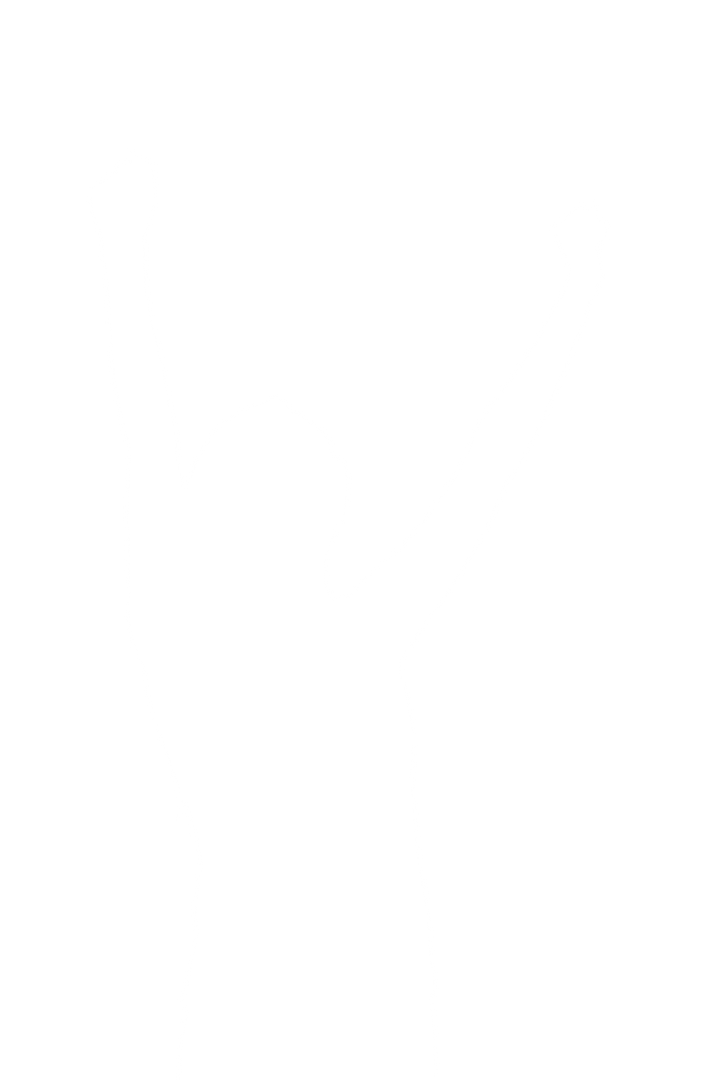 Woman Raising Hands in Victory Silhouette on Transparent Background - Download Free Stock Images Pikwizard.com