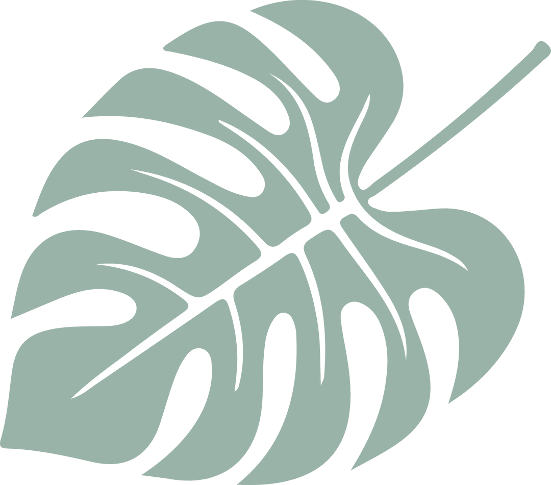 Minimalistic Monstera Leaf on Transparent Background