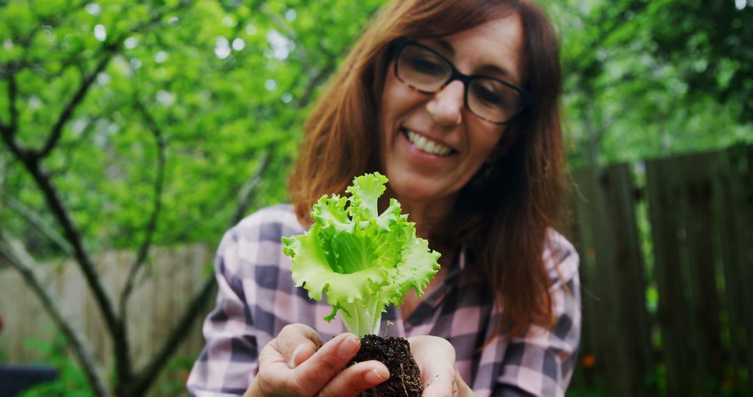 Woman Holding Fresh Lettuce Plant in Backyard Garden - Free Images, Stock Photos and Pictures on Pikwizard.com