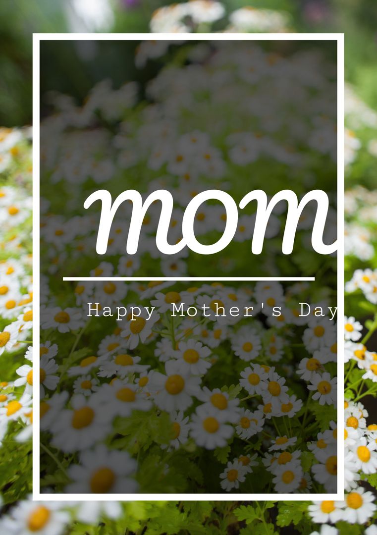 Daisy Background for Mother's Day Greeting Card
