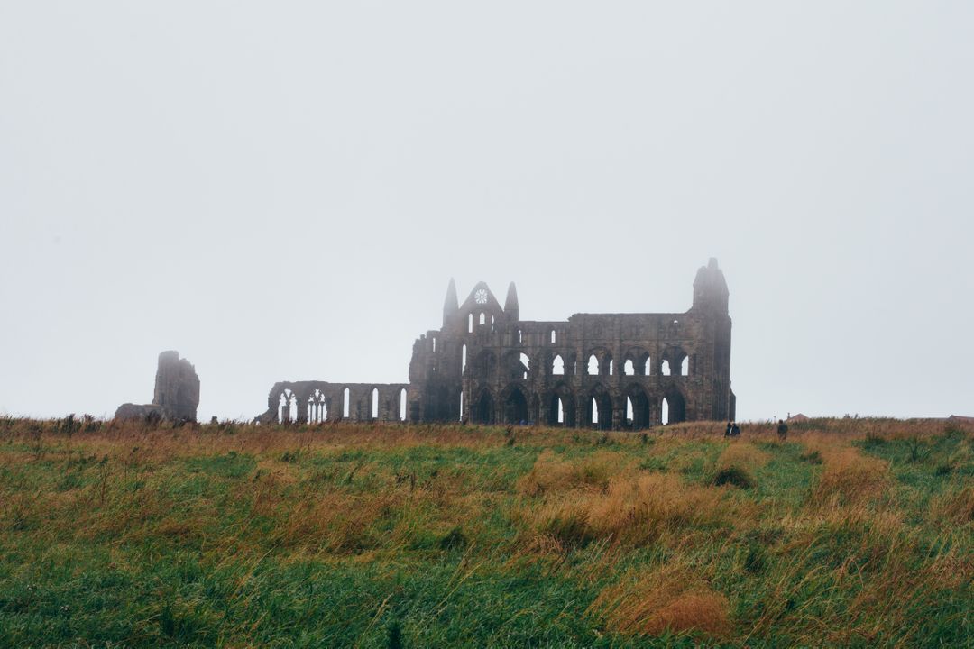 Foggy Landscape with Ancient Ruins on a Misty Day - Free Images, Stock Photos and Pictures on Pikwizard.com