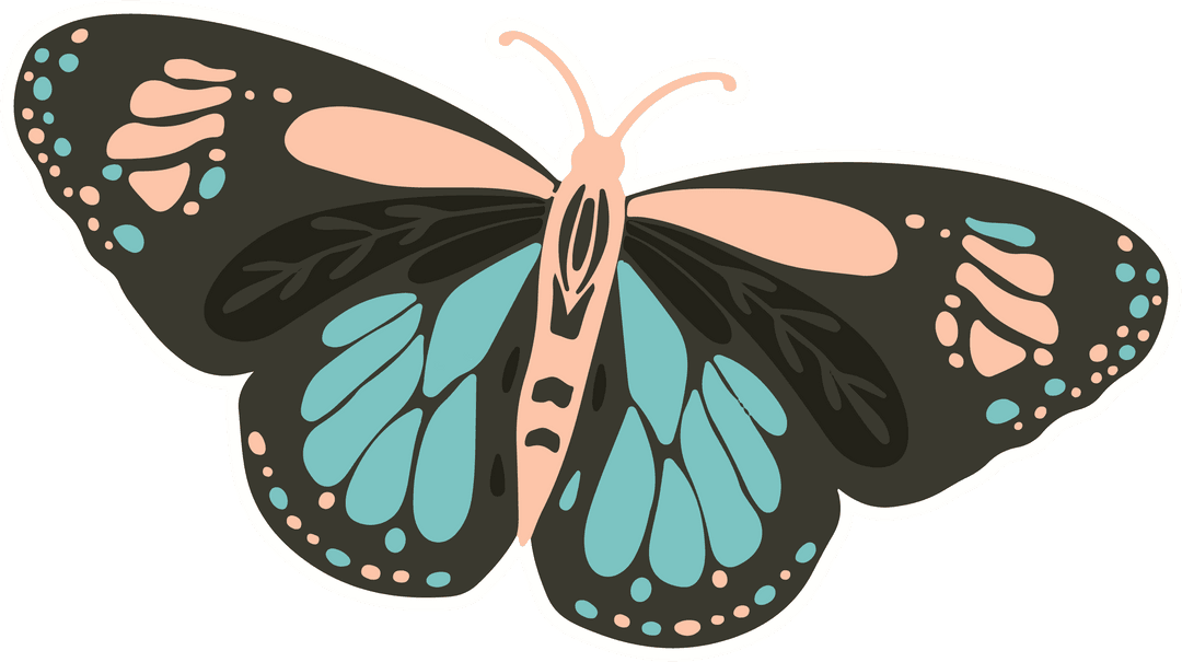 Minimalist Butterfly with Peach and Turquoise Wings on Transparent Background