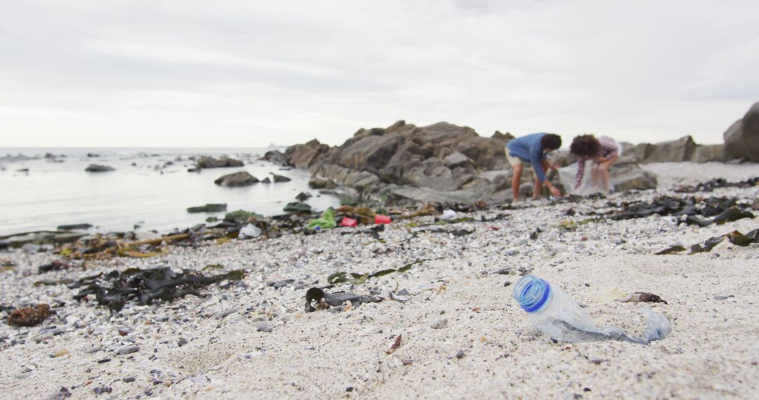 Volunteers Cleaning Plastic Waste at Rocky Beach - Free Images, Stock Photos and Pictures on Pikwizard.com