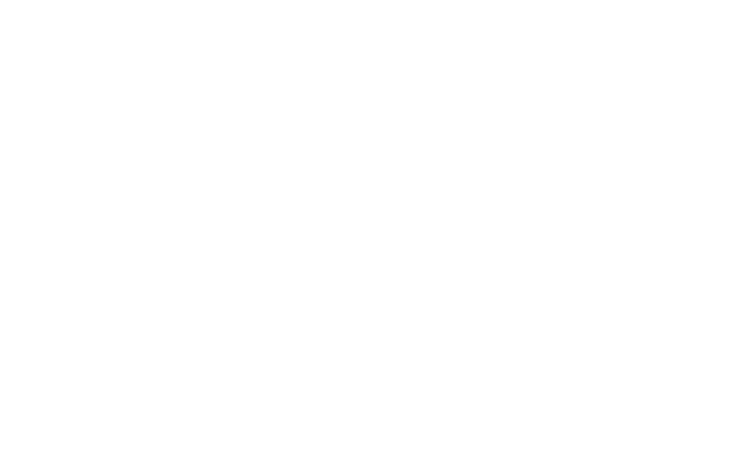 Black Stylized Leaf on Transparent Background for Design