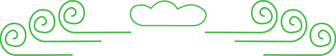 Decorative Green Pattern with Swirls on Transparent Background