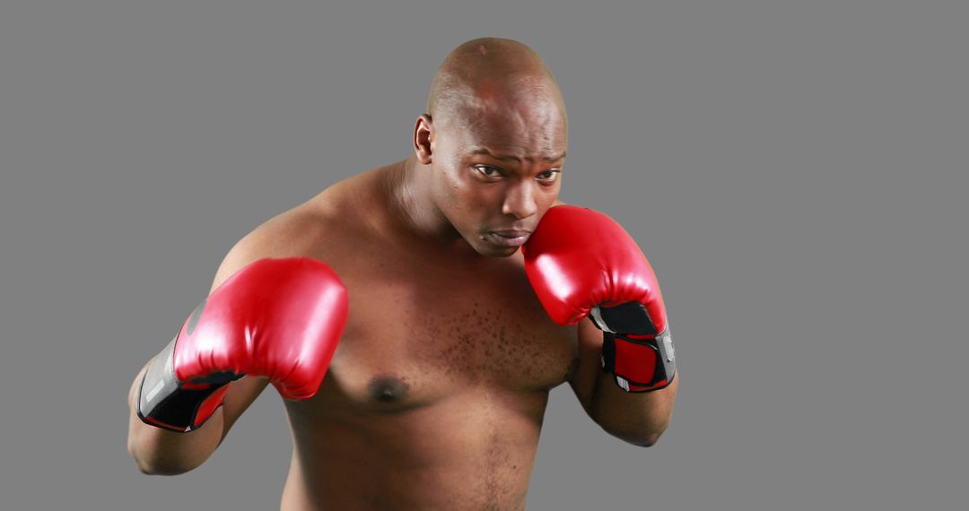 Fit Boxer with Red Gloves Preparing for Fight on Gray Background - Free Images, Stock Photos and Pictures on Pikwizard.com