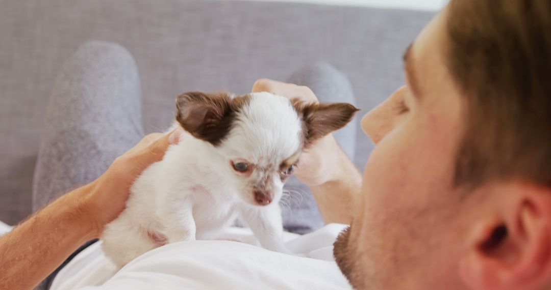 Man Bonding With Adorable Puppy on Comfortable Couch