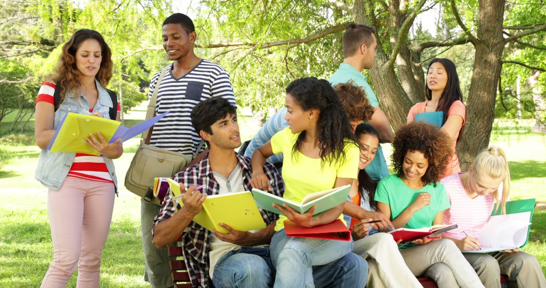 Mixed Group of Diverse Students Studying Outdoors on Sunny Day - Free Images, Stock Photos and Pictures on Pikwizard.com