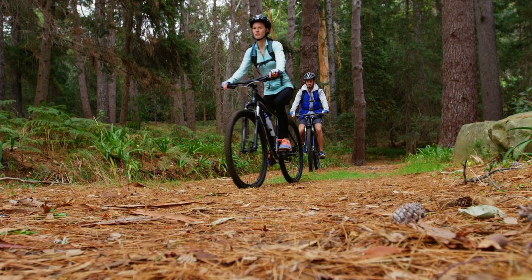 Family Riding Bicycles Through Forest Trail - Free Images, Stock Photos and Pictures on Pikwizard.com