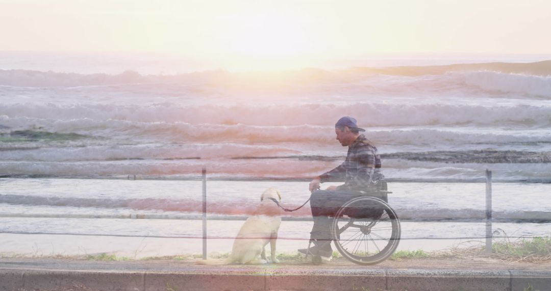 Inclusive Beach View: Man in Wheelchair with Dog on Oceanfront