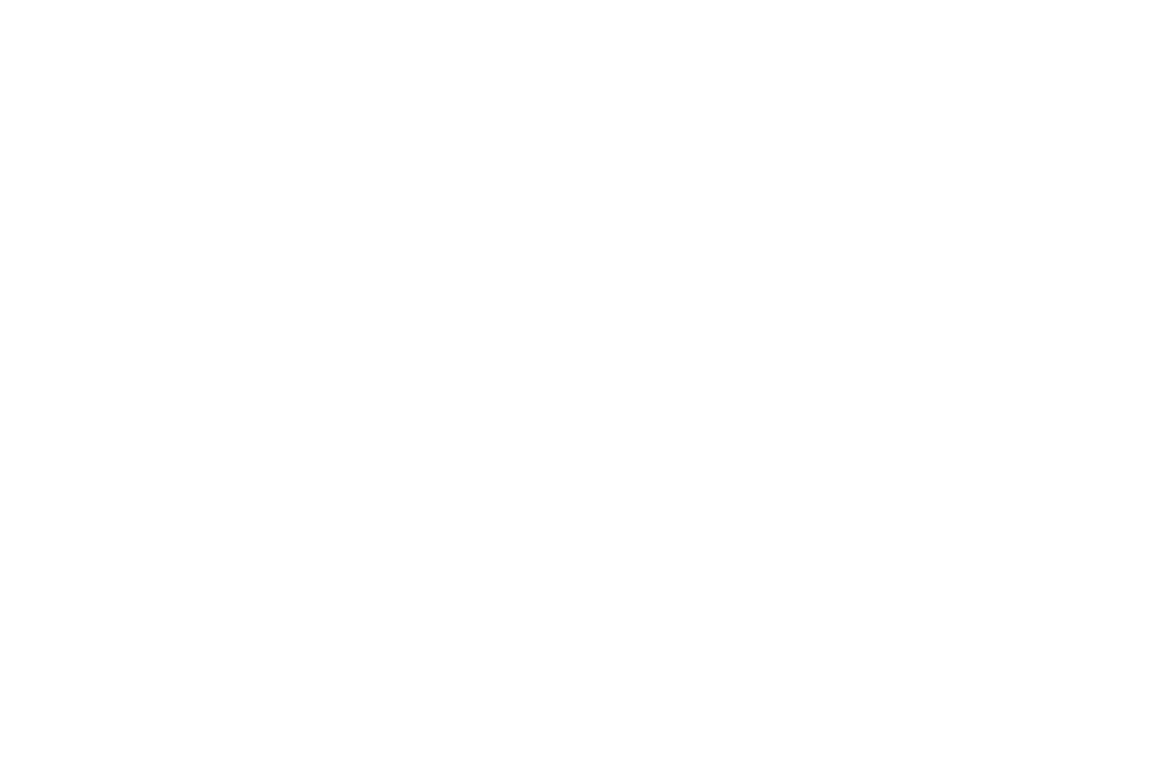 Vector Circular White Pattern on Transparent Background