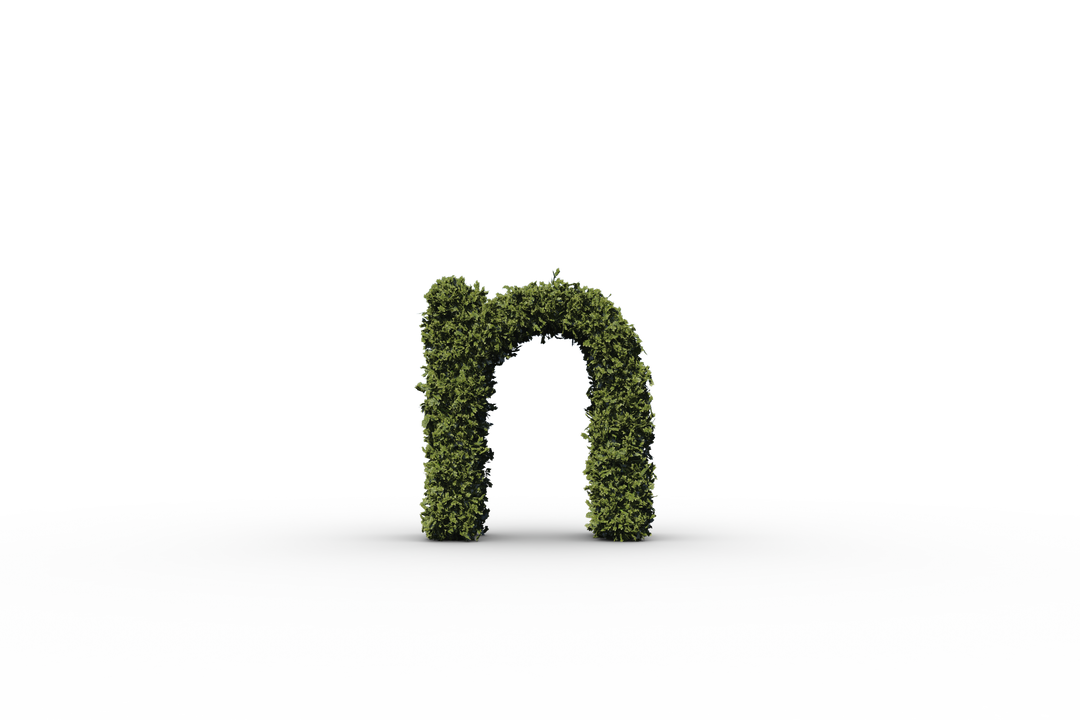 Transparent N Letter Design in Leaves on Transparent Background - Download Free Stock Images Pikwizard.com