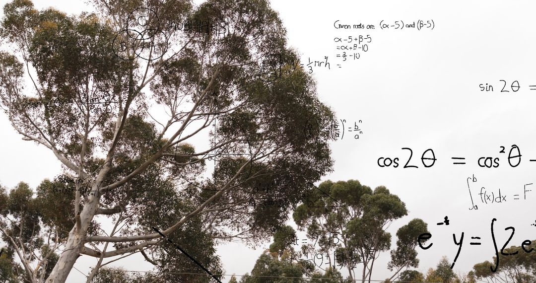 Abstract Overlay of Complex Math Equations on Natural Landscape