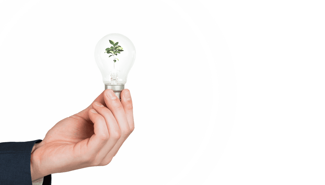 Hand Holding Transparent Light Bulb with Growing Plant