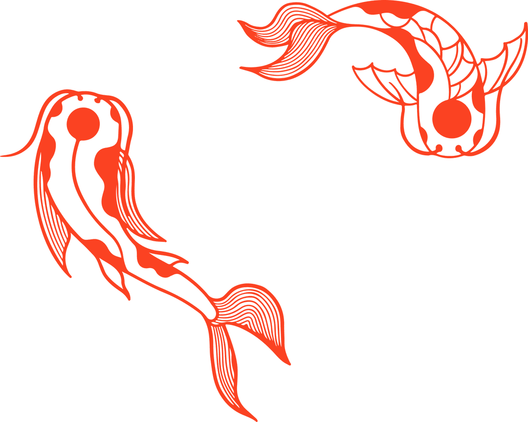 Transparent Line Art of Ornamental Fish in Circular Motion