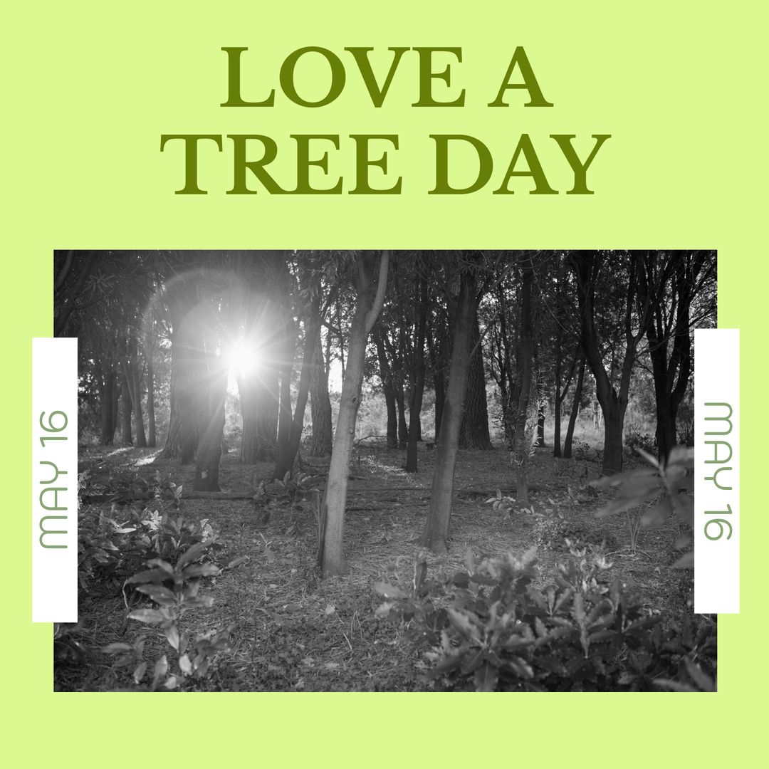 Love a Tree Day Concept with Sunrise Through Forest