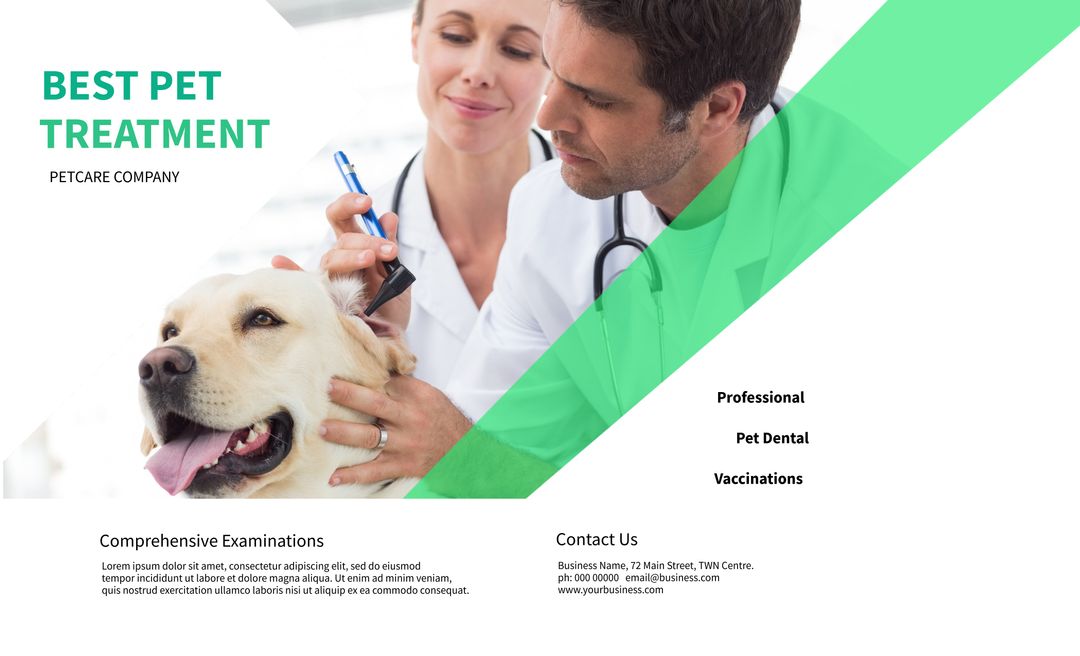 Vet Examining Happy Dog Promoting Pet Healthcare Services - Download Free Stock Templates Pikwizard.com