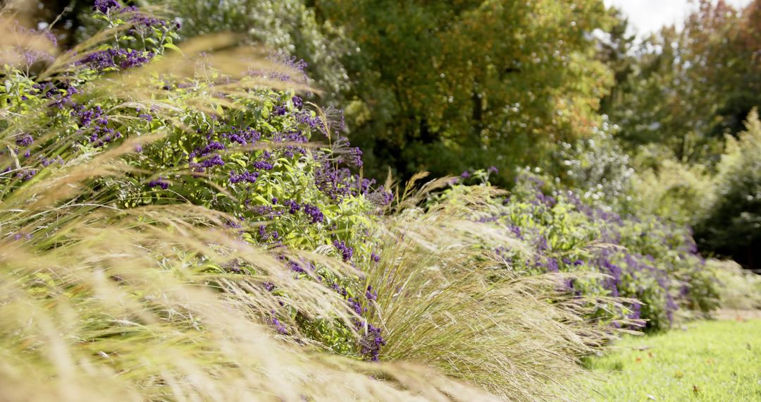 Lush Flower Garden with Tall Grass and Seasonal Trees - Free Images, Stock Photos and Pictures on Pikwizard.com