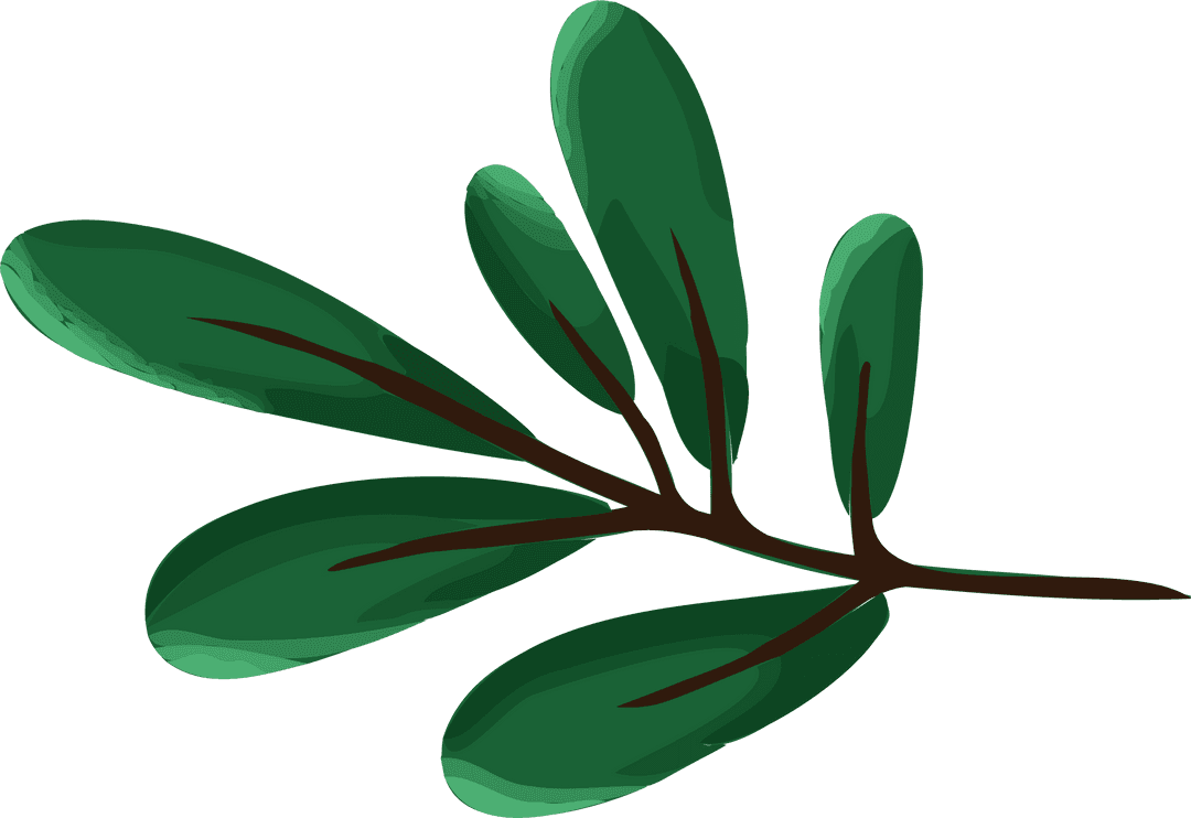 Glossy Green Leaves on Brown Branch on Transparent Background