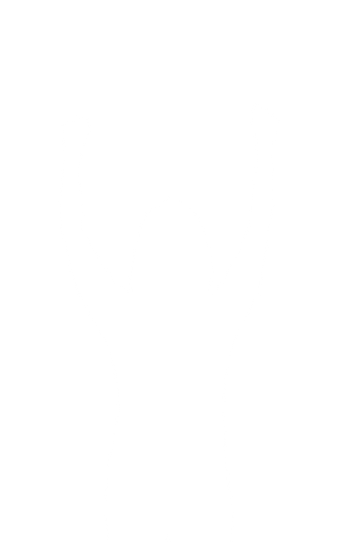 Transparent silhouette woman raising hands up celebrating victory - Download Free Stock Images Pikwizard.com