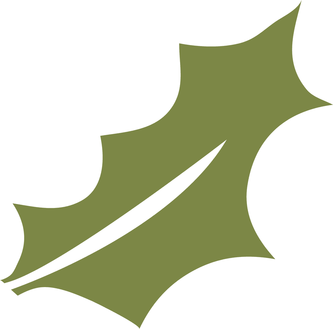 Green Leaf Illustration Floating on Transparent Background