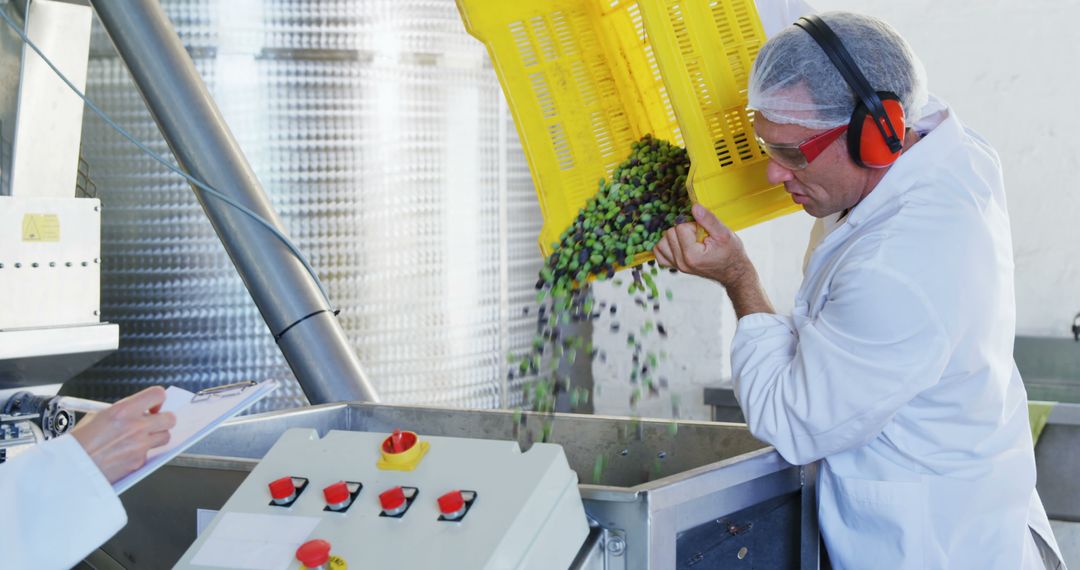 Quality Control in Olive Processing Facility with Worker Inspects - Free Images, Stock Photos and Pictures on Pikwizard.com