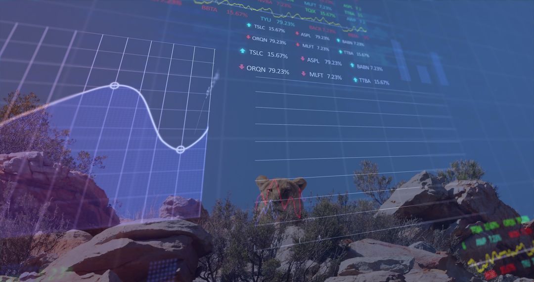 Stock Market Data Overlay with Mountain Lion in Desert