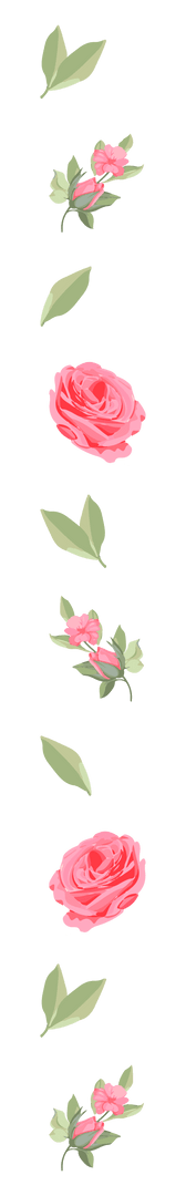 Pink Floral Design with Roses on Transparent Background