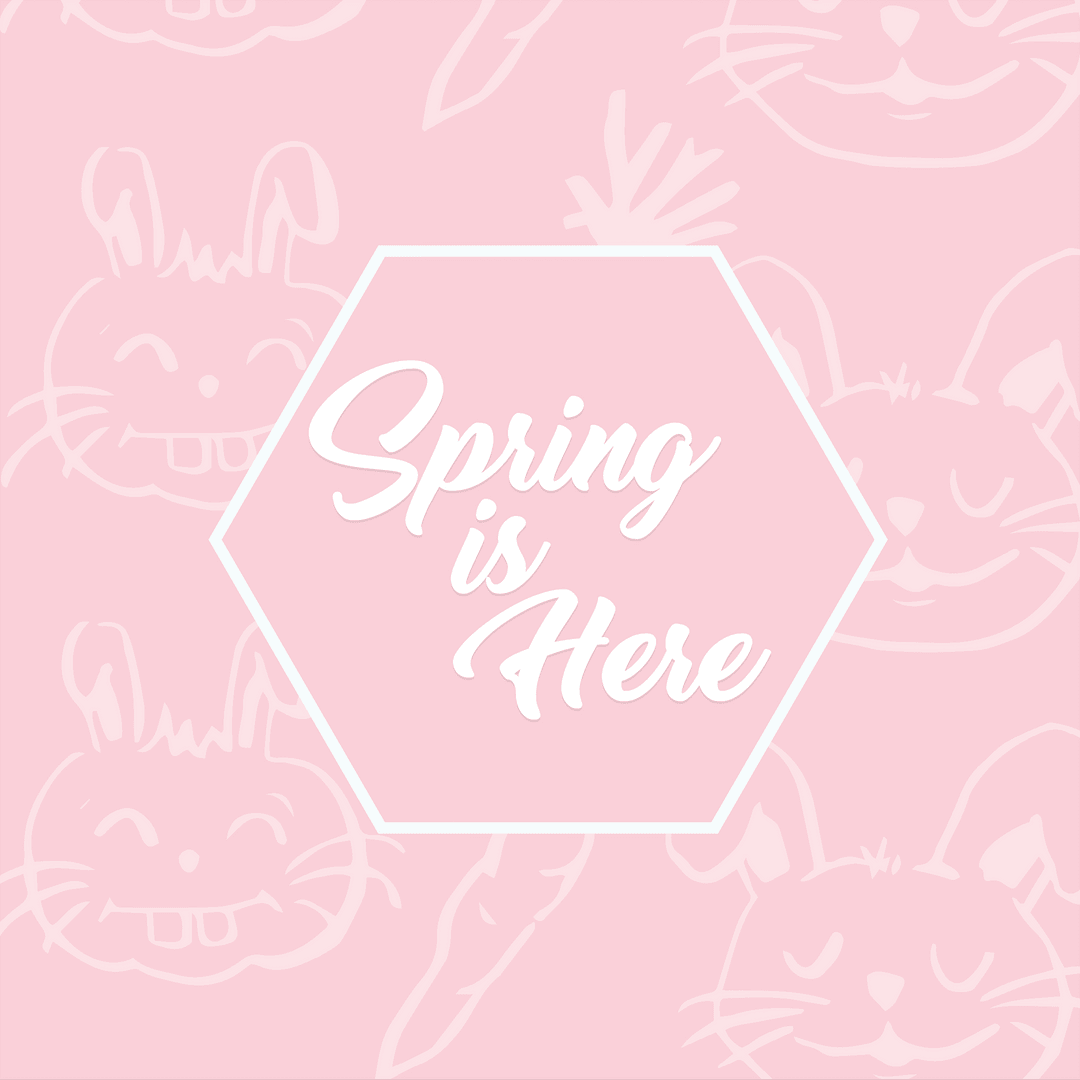 Spring is Here Text on Transparent Pink Rabbit Background - Download Free Stock Images Pikwizard.com