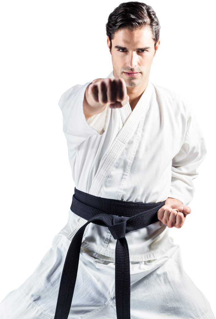 Karate Practitioner in Detailed Transparent Martial Arts Pose - Download Free Stock Images Pikwizard.com