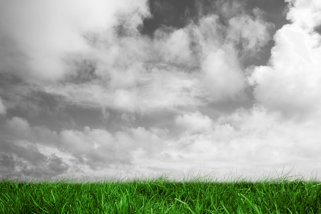 Green Grass with Dramatic Clouds on Transparent Background